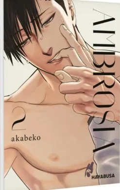 Carlsen Verlag GmbH Love & Romance|Boys Love - Yaoi-Ambrosia 2