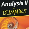 Analysis II für Dummies*Wiley-VCH GmbH