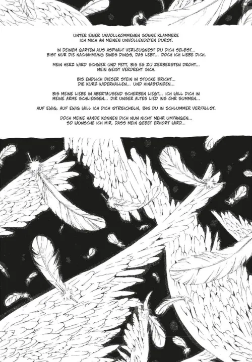 Angel Sanctuary Pearls 10*Carlsen Verlag GmbH Online