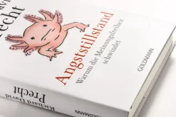 Goldmann Verlag Gesellschaft|Sachbücher*Angststillstand