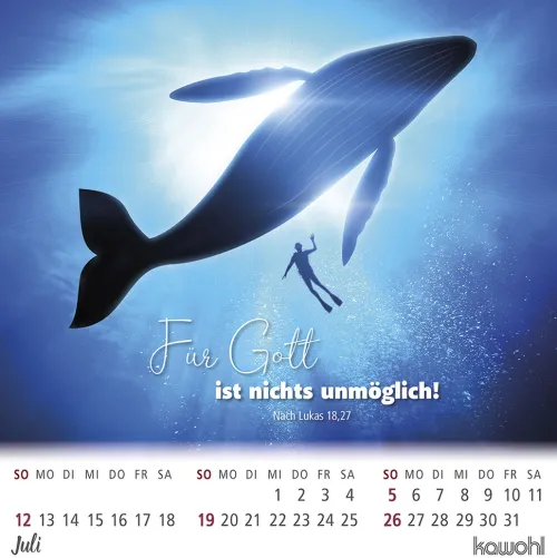 Kawohl Postkartenkalender*Ankommen & leben 2026