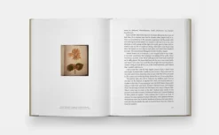 Phaidon Verlag GmbH Künstler:Innen Im Fokus*Annie Leibovitz: At Work