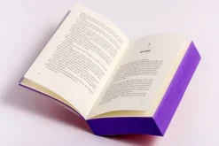 Heyne Taschenbuch Fantasy & Science Fiction*Apprentice to the Villain