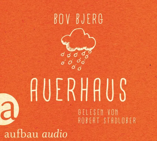 Aufbau Audio Romane·Biografische Romane*Auerhaus