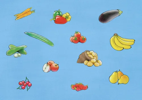 Don Bosco Medien GmbH Lesen & Geschichten*Auf dem Wochenmarkt mit Emma und Paul. Kamishibai Bildkartenset.