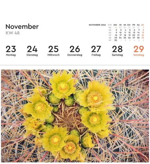 Aufgeblüht - KUNTH Postkartenkalender 2026*Kunth GmbH Kalender Sale