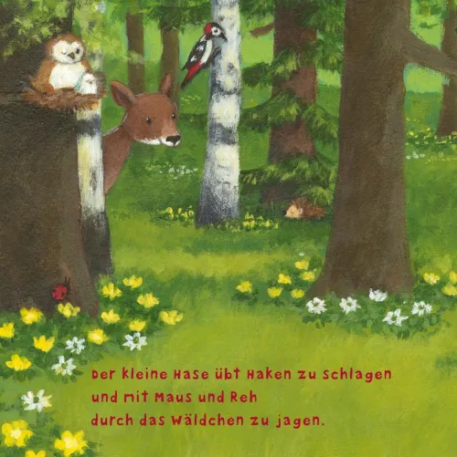 Carlsen Verlag GmbH Kinder- & Jugendbücher*Baby Pixi (unkaputtbar) 97: Der kleine Hase
