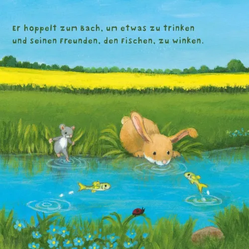 Carlsen Verlag GmbH Kinder- & Jugendbücher*Baby Pixi (unkaputtbar) 97: Der kleine Hase