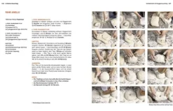 Becker Joest Volk Verlag Star-Köche|Backen*Baking next level mit Roggen