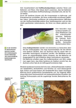 Bibliograph. Instit. GmbH Abi Trainer·Biologie-Basiswissen Schule - Biologie Abi