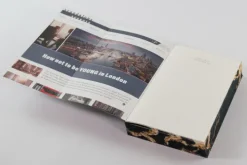 Loewe Verlag GmbH Romantic Suspense-Before the Moon Falls (Scandalous Secrets, Band 2)