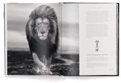 Beusker*teNeues Verlag GmbH Discount