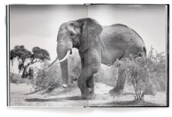 Beusker*teNeues Verlag GmbH Discount