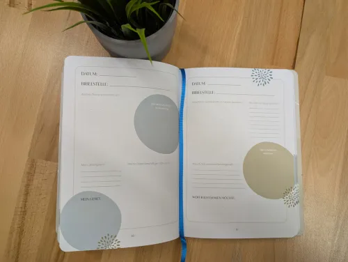 Bibellese-Journal*SCM Brockhaus, R.