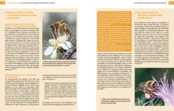 Haupt Verlag AG Umweltwissenschaft*Bienenbau und Bienenbeute