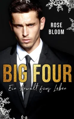 BookRix Reich, Berühmt, Mächtig*BIG FOUR: Ein Anwalt fürs Leben