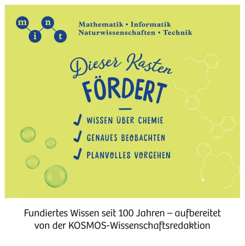 Franckh-Kosmos Forschen & Entdecken*Big Fun Chemistry