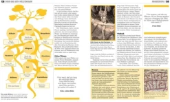 Dorling Kindersley Verlag Märchen & Sagen*Big Ideas. Das Mythologie-Buch