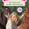 Schneiderbuch Tiere*Bille und Zottel Bd. 14 - Ein Pony auf großer Wanderung