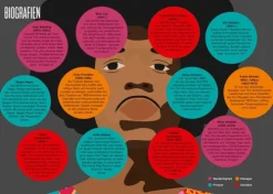 BioGrafik Hendrix*White Star Discount