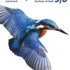 Cornelsen Verlag GmbH Nach Fächern·Biologie-Biosphäre Sekundarstufe I 5./6. Schuljahr - Gymnasium Sachsen-Anhalt - Arbeitsheft