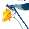 Cornelsen Verlag GmbH Nach Fächern·Biologie-Biosphäre Sekundarstufe I Band 2 - Ausgabe A - Schülerbuch