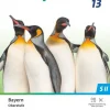 Cornelsen Verlag GmbH Nach Schulform·Sekundarstufe|Nach Fächern·Biologie*Biosphäre Sekundarstufe II 13. Jahrgangsstufe - 2.0 - Bayern - Schulbuch