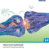 Cornelsen Verlag GmbH Nach Schulform·Sekundarstufe|Nach Fächern·Biologie-Biosphäre Sekundarstufe II - 2.0 - Allgemeine Ausgabe. Gesamtband - Prüfungstraining