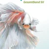 Cornelsen Verlag GmbH Nach Fächern·Biologie*Biosphäre Sekundarstufe II - 2.0 - Allgemeine Ausgabe. Gesamtband - Schülerbuch