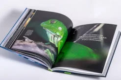 Bis an den Rand der Welt*Prestel Verlag Sale