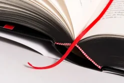 Blanvalet Verlag Technothriller*BLACKOUT - Morgen ist es zu spät