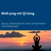 BoD - Books on Demand Wellness & Entspannung*Bleib jung mit Qi Gong