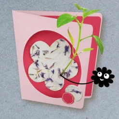 Blühendes Papier*Franckh-Kosmos New