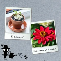 Blühendes Papier*Franckh-Kosmos New