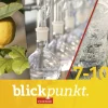 Westermann Schulbuch Nach Fächern·Chemie-Blickpunkt Chemie. Gesamtband. Für Baden-Württemberg