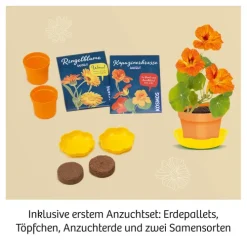 Franckh-Kosmos Forschen & Entdecken-Blüten-Presse