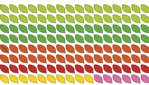 Neumann Verlage GmbH & Co Immerwährender Kalender*Blätter immerwährender Geburtagskalender