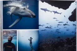 Gestalten Reisen, Orte & Menschen*Boatlife