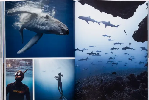 Gestalten Reisen, Orte & Menschen*Boatlife