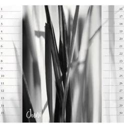 Stadler Kalender Immerwährender Kalender-Bodensee. Immerwährender Geburtstags- und Tischkalender