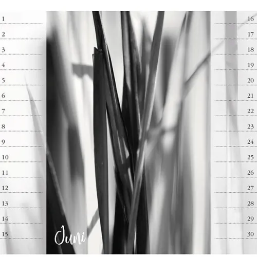 Stadler Kalender Immerwährender Kalender-Bodensee. Immerwährender Geburtstags- und Tischkalender