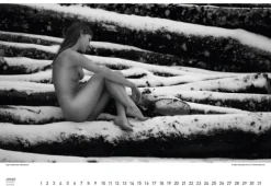 Stadler Kalender Immerwährender Kalender*BodenseeAKT. Ein immerwährender Kalender