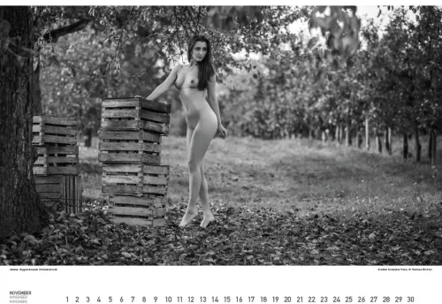 Stadler Kalender Immerwährender Kalender*BodenseeAKT. Ein immerwährender Kalender