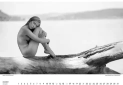 Stadler Kalender Immerwährender Kalender*BodenseeAKT. Ein immerwährender Kalender