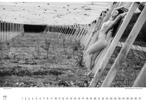 Stadler Kalender Immerwährender Kalender*BodenseeAKT. Ein immerwährender Kalender