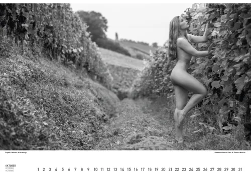 Stadler Kalender Immerwährender Kalender*BodenseeAKT. Ein immerwährender Kalender