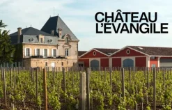 Tre Torri Verlag GmbH Wein & Getränke-Bordeaux