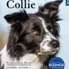 Franckh-Kosmos Garten, Natur, Tiere-Border Collie