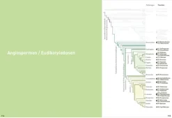 Haupt Verlag AG Biologie-Botanische Grundkenntnisse auf einen Blick