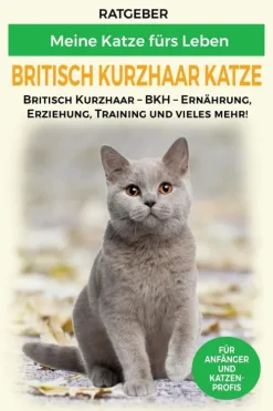 Britisch Kurzhaar Katze*epubli